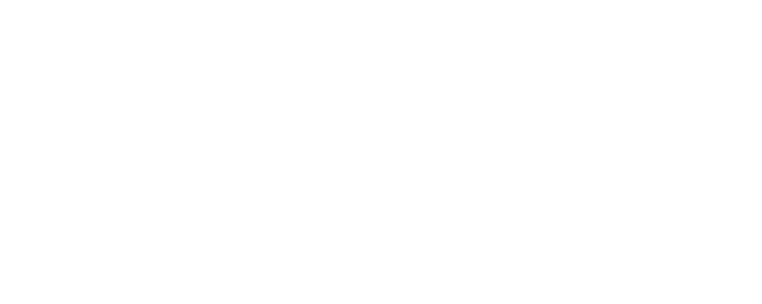 RRG Retail Renault Group